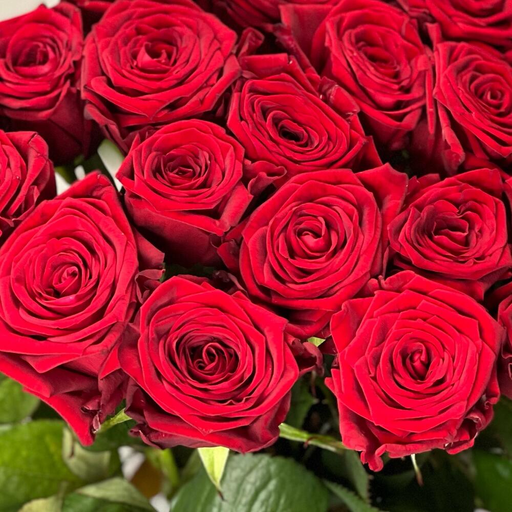 Роза  🌹