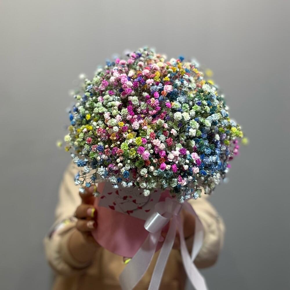 Gypsophila en Caja