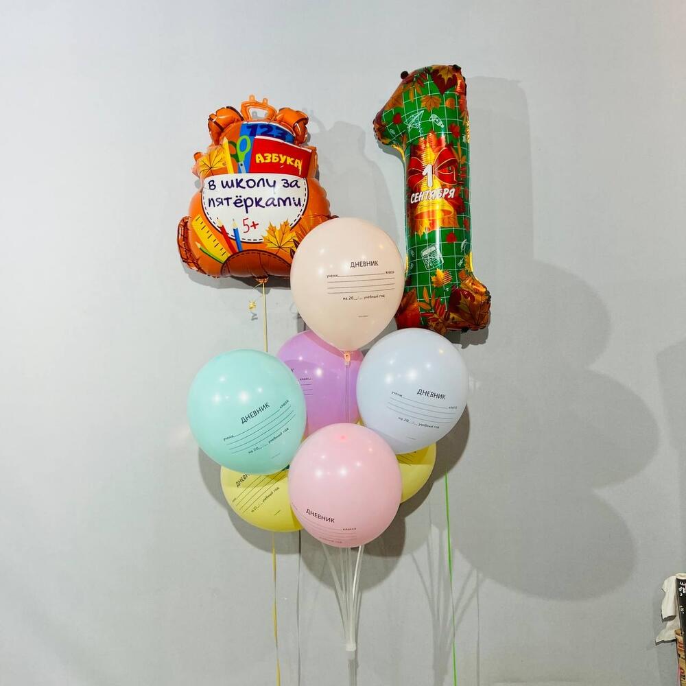 Шары с гелием дневник на 1 сентября 9 шт, Цветы и подарки в Балашихе ...