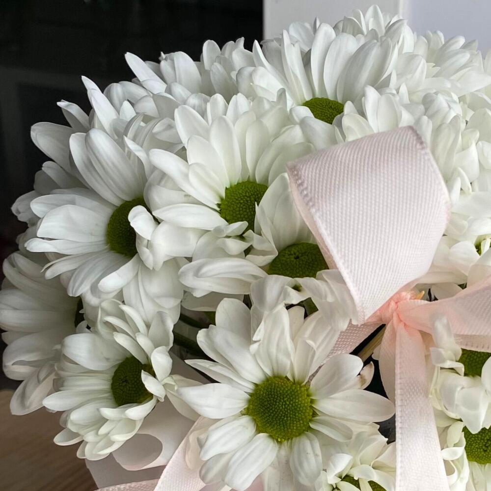 A delicate composition of Chrysanthemums