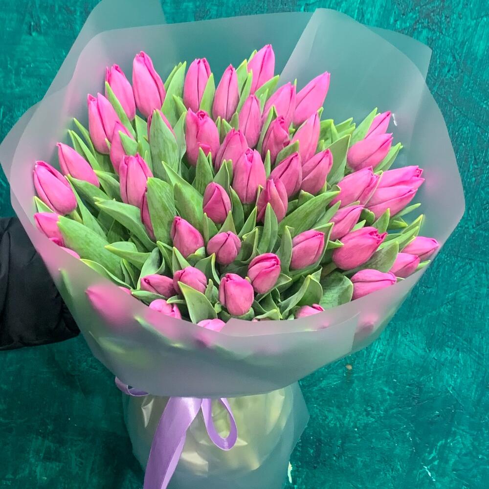 Tulips 🌷