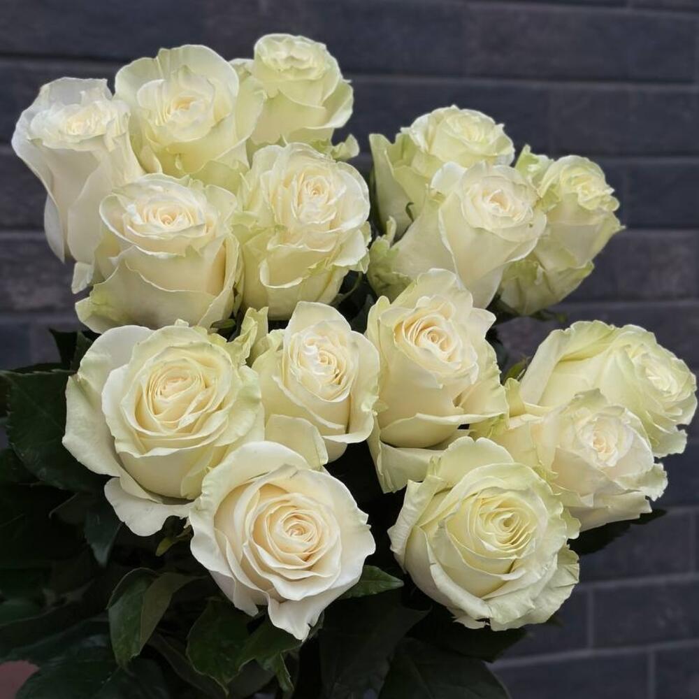 Bouquet of 15 white roses