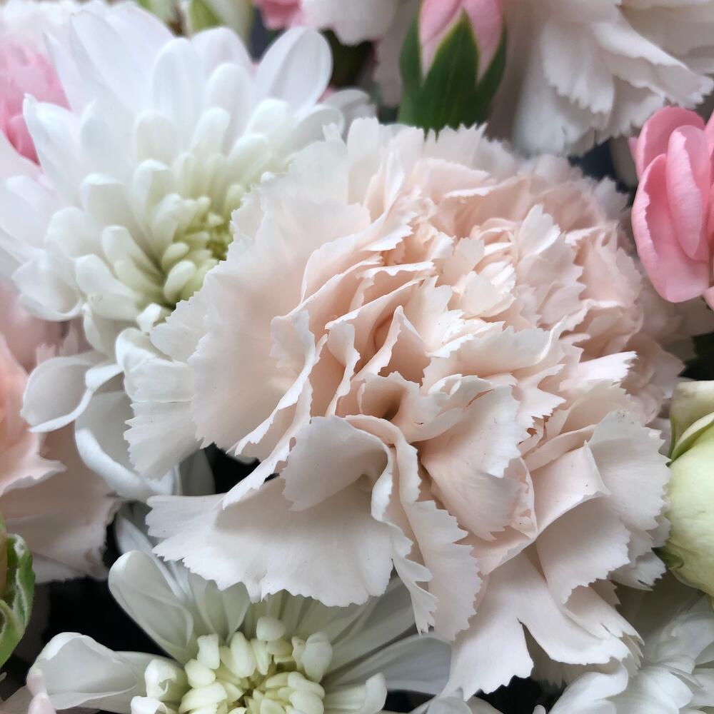 Невероятная корзина «Bloom Room» с орхидеями и пионовидными розами