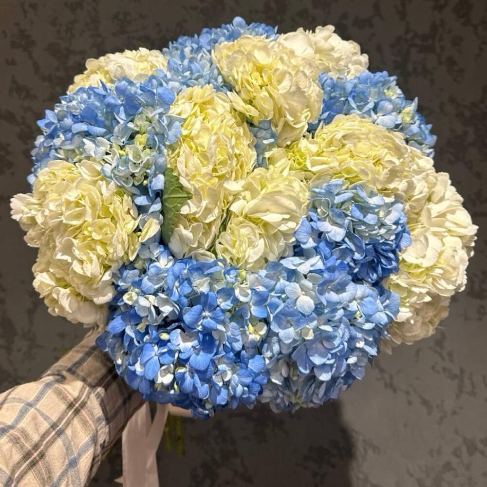 Букет из 15 гортензий