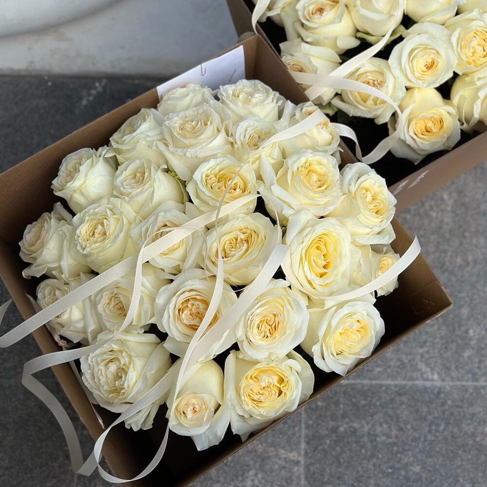 Премиум розы 💌