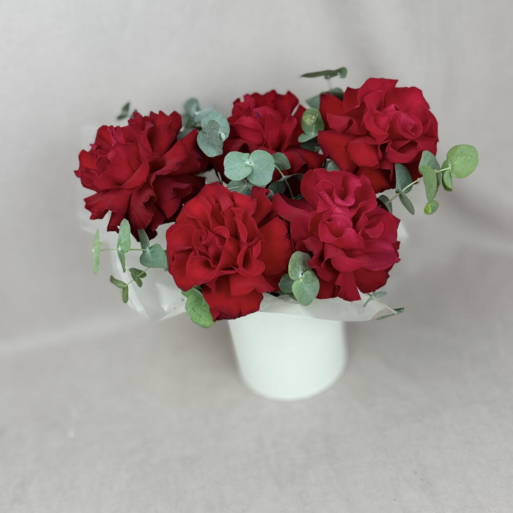 5 французских красных роз в шляпной коробке🌹
