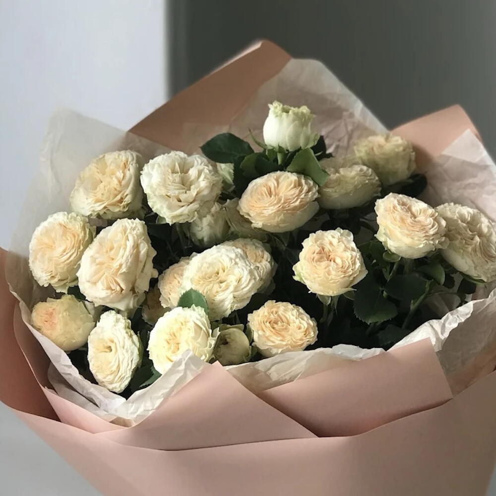 5 кустовых  пионовидных роз Summer Spray Rose
