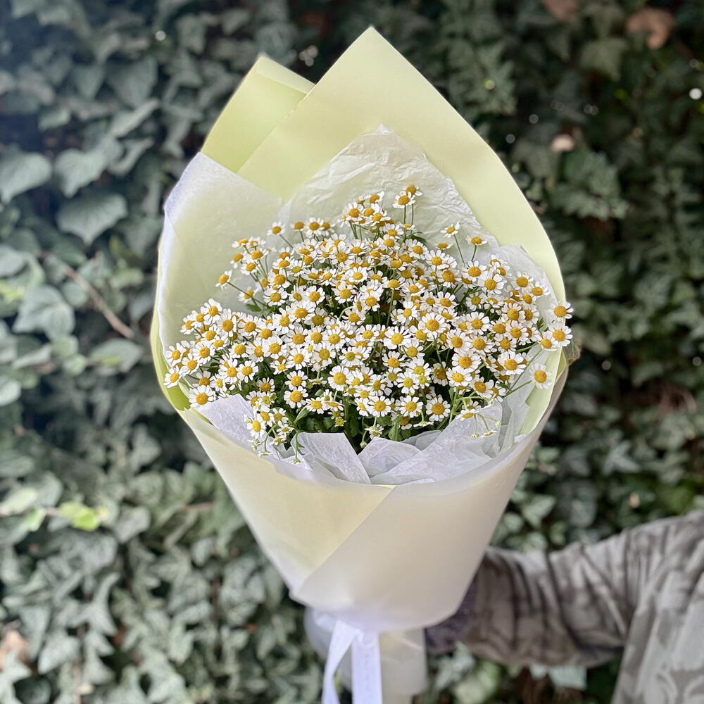 Букет ароматных маленьких ромашек 💛