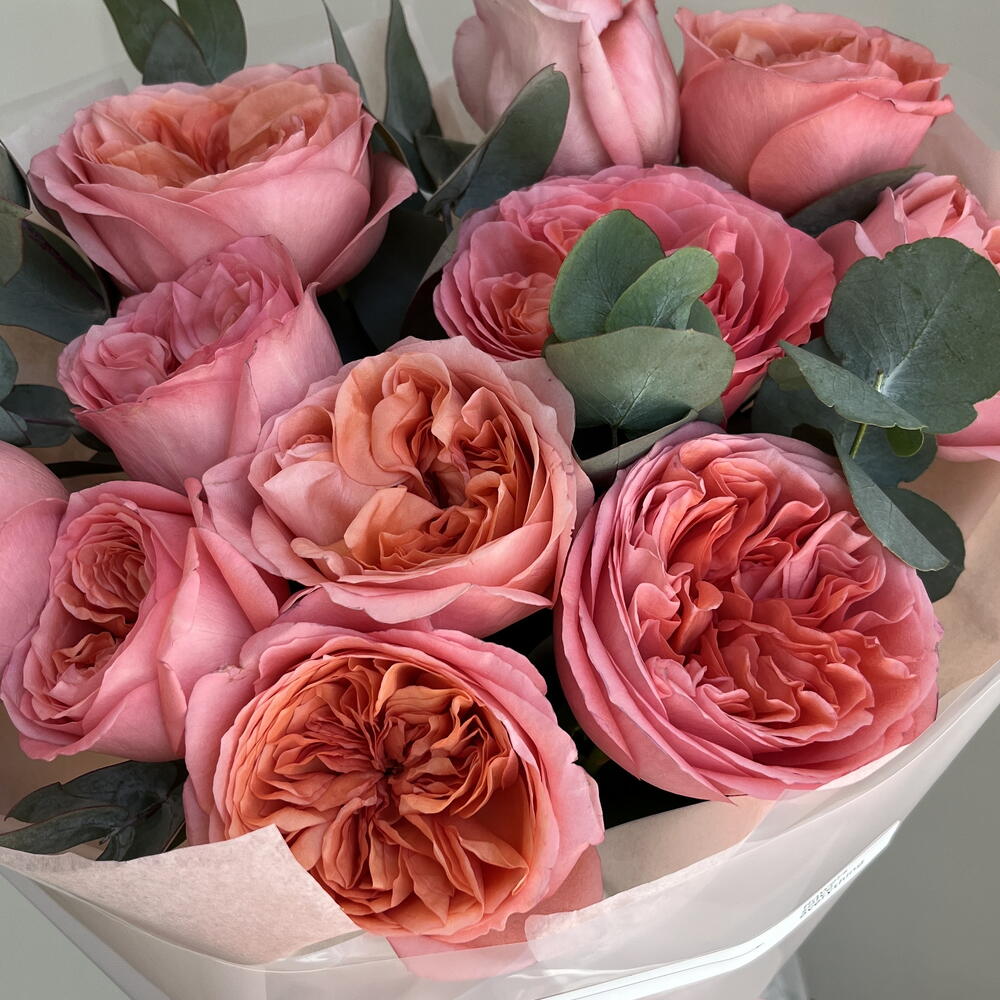 Роза Pink Expression