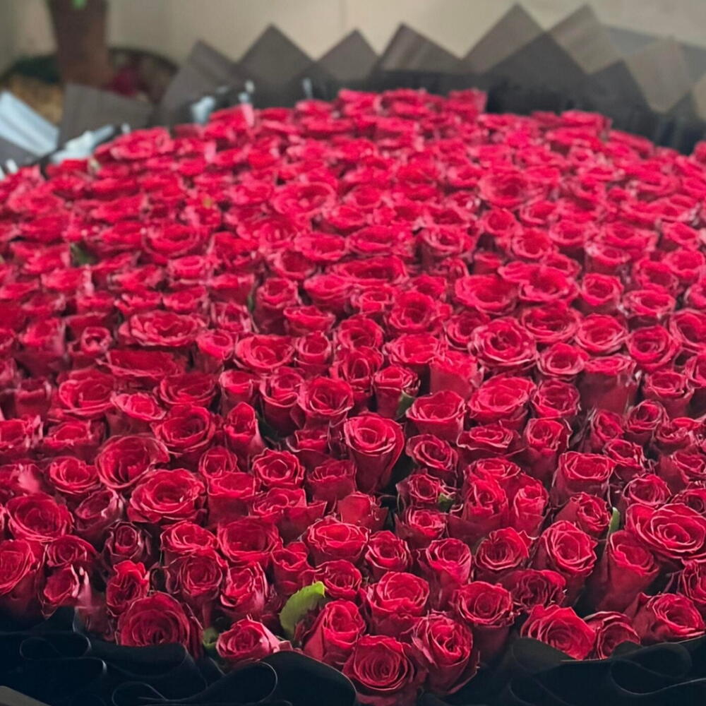 Букет из 301 розы 🌹