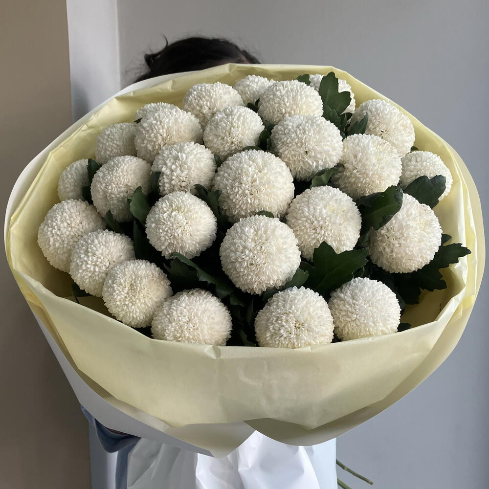 Белая Момока
