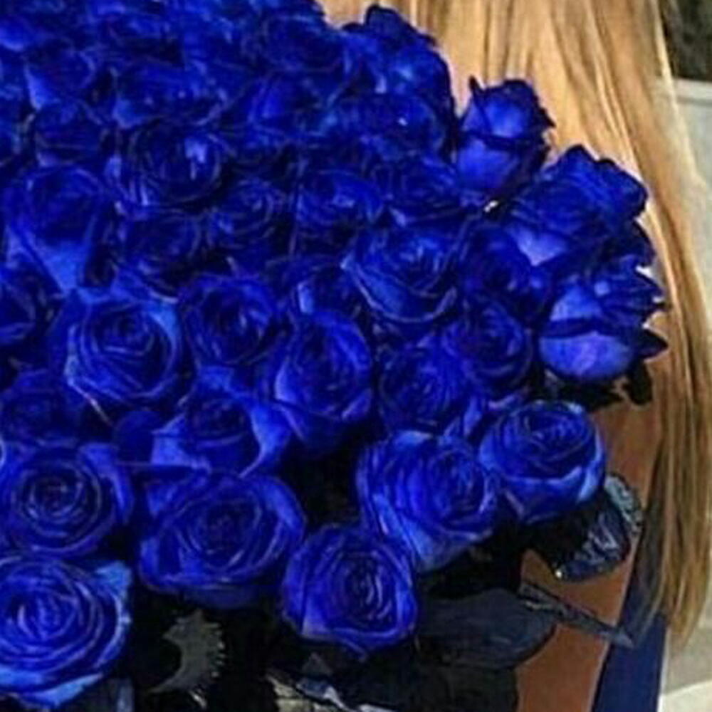 Огромный букет из синих роз💙