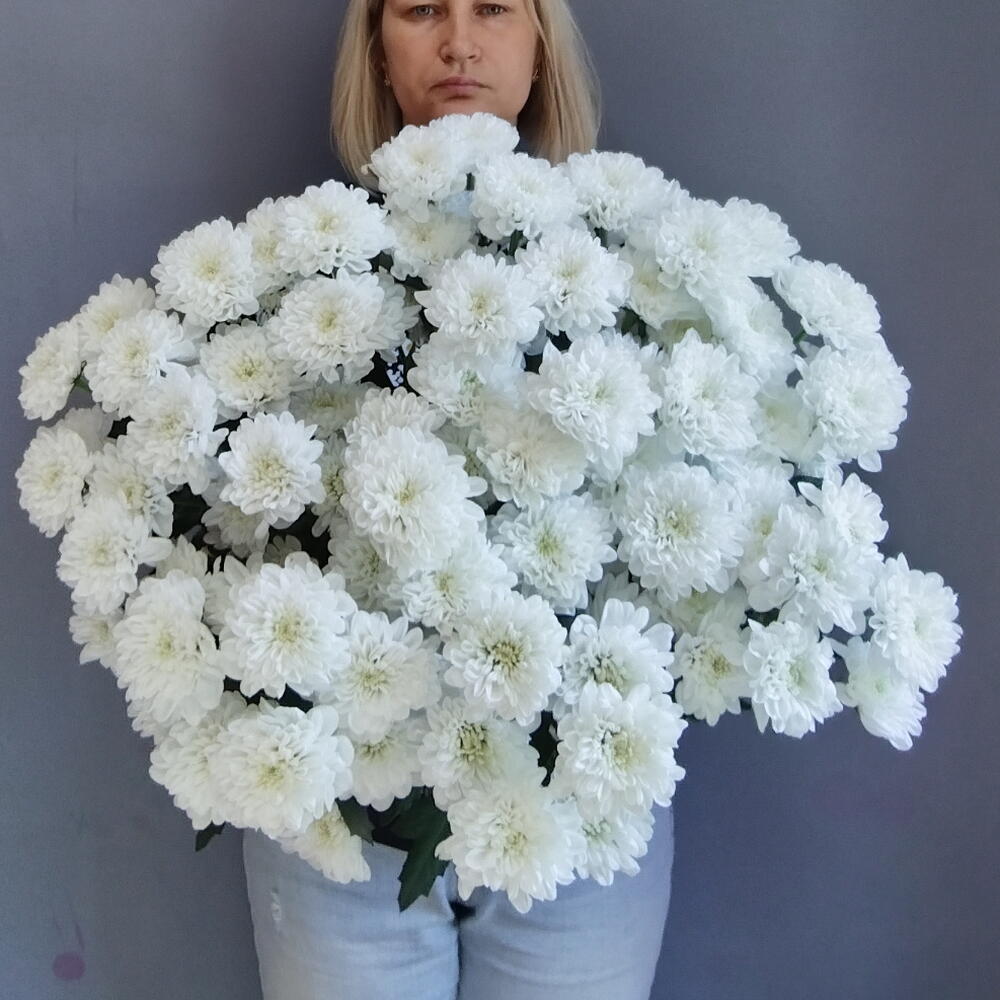 Букет белых кустовых хризантем (15 шт)