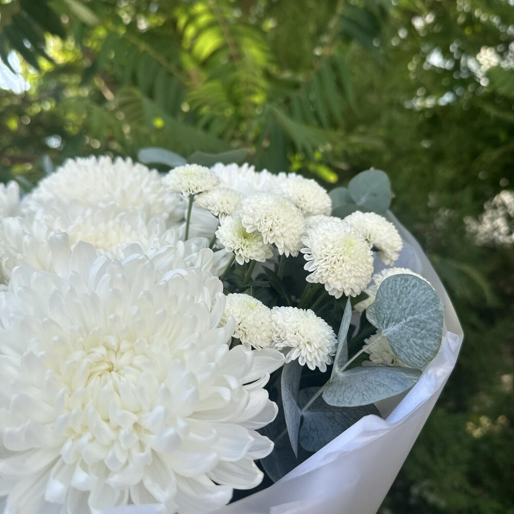 Букет из белых хризантем и эвкалипта 🤍