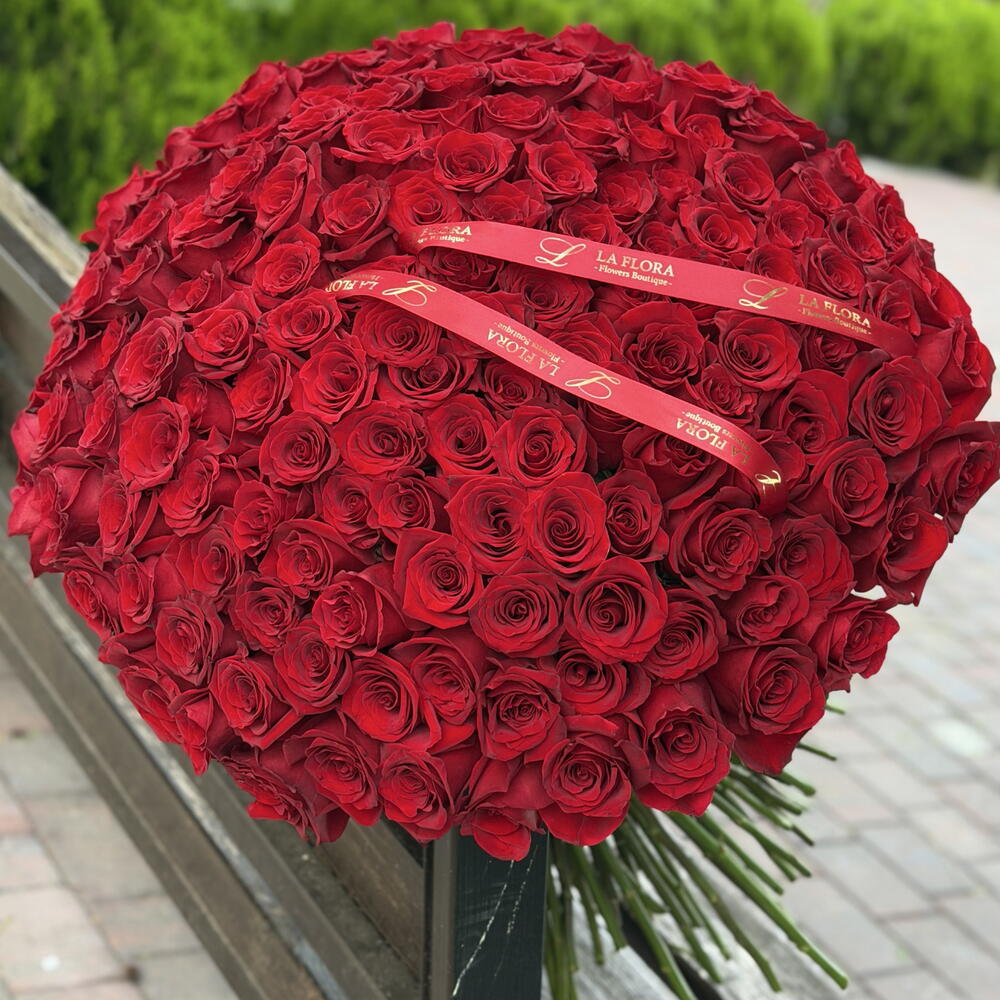 151 dutches roses