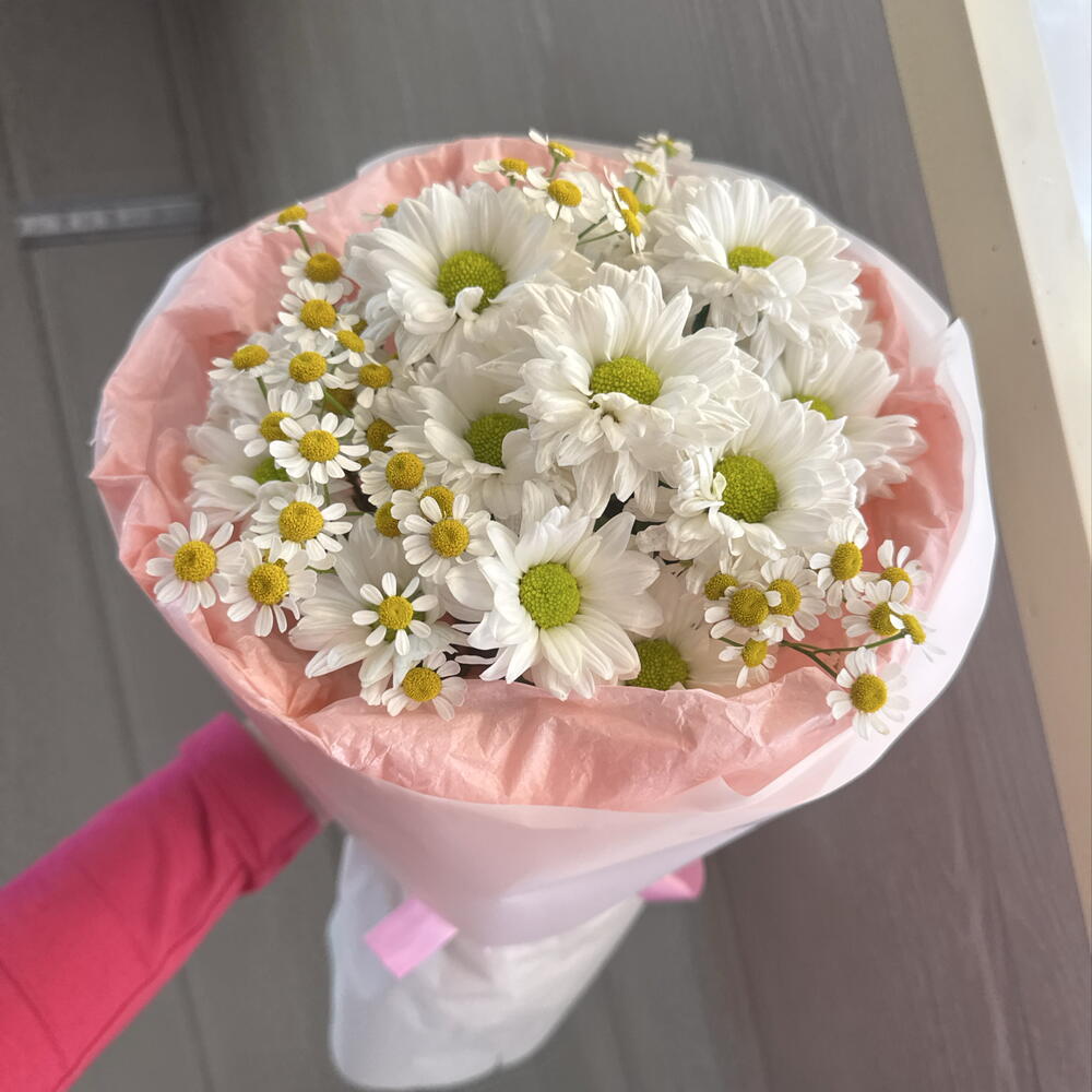 🎀с ромашками