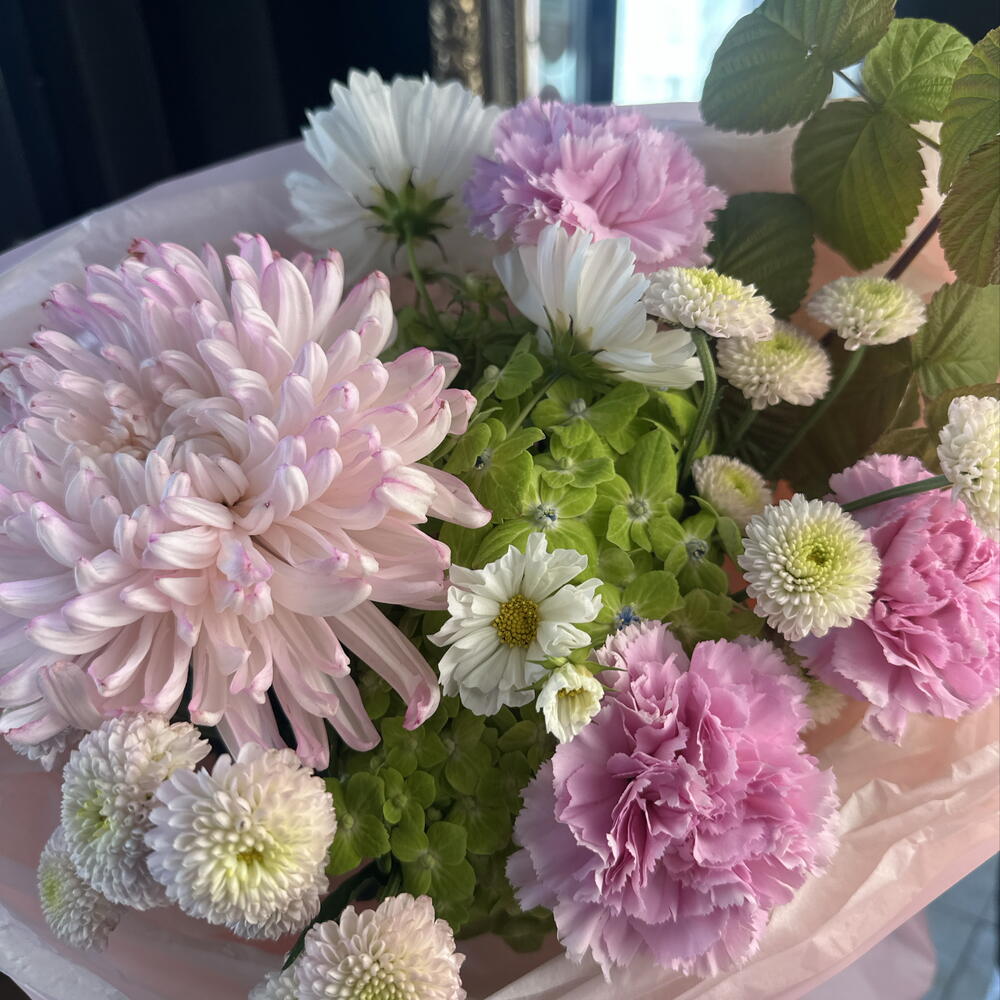🌸Бруклин (-10%)