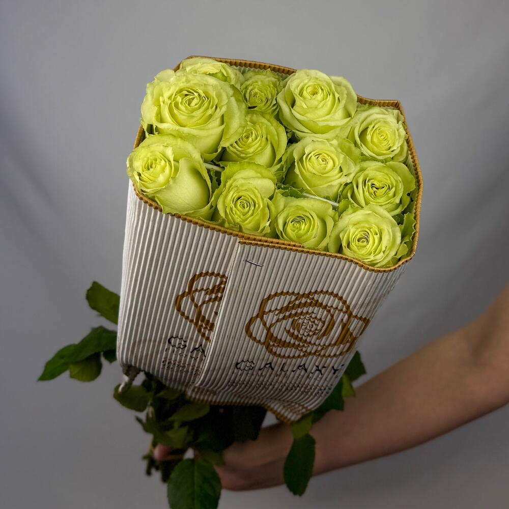 Пачка Роза сорт «Limonada» 25 стеблей