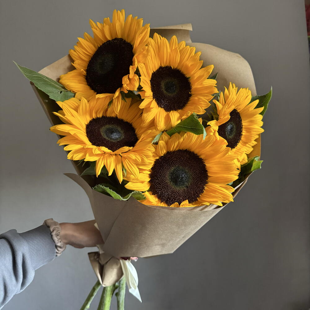 Подсолнухи 🌻