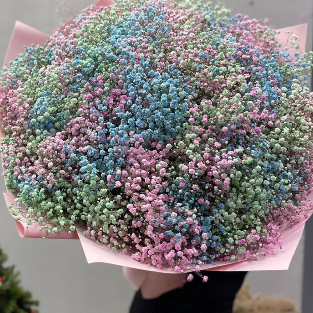 Гипсофила WOW 🤩