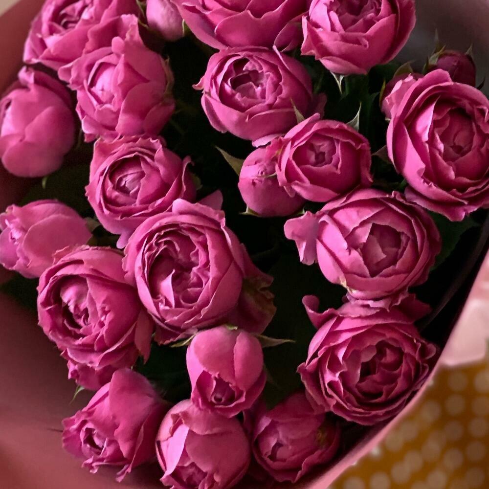 9 Misty Bubbles spray peony roses