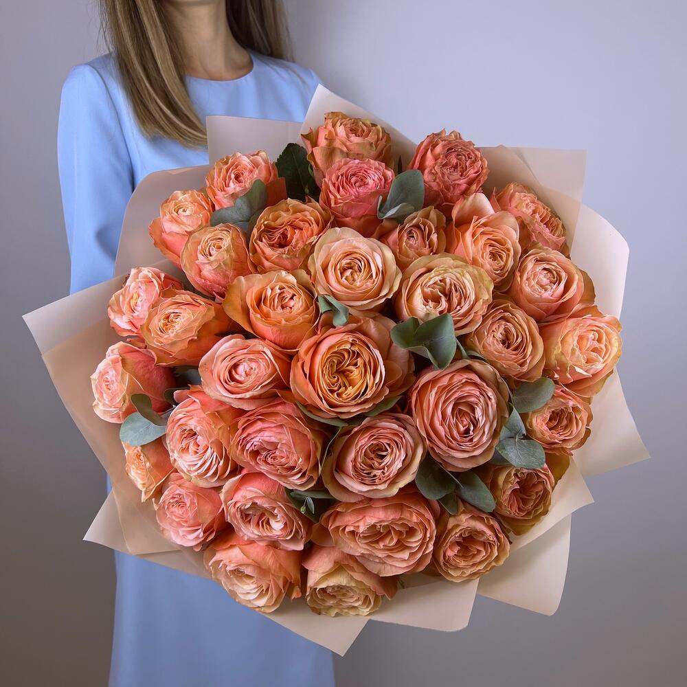 Розы пионовидные кахала (35)