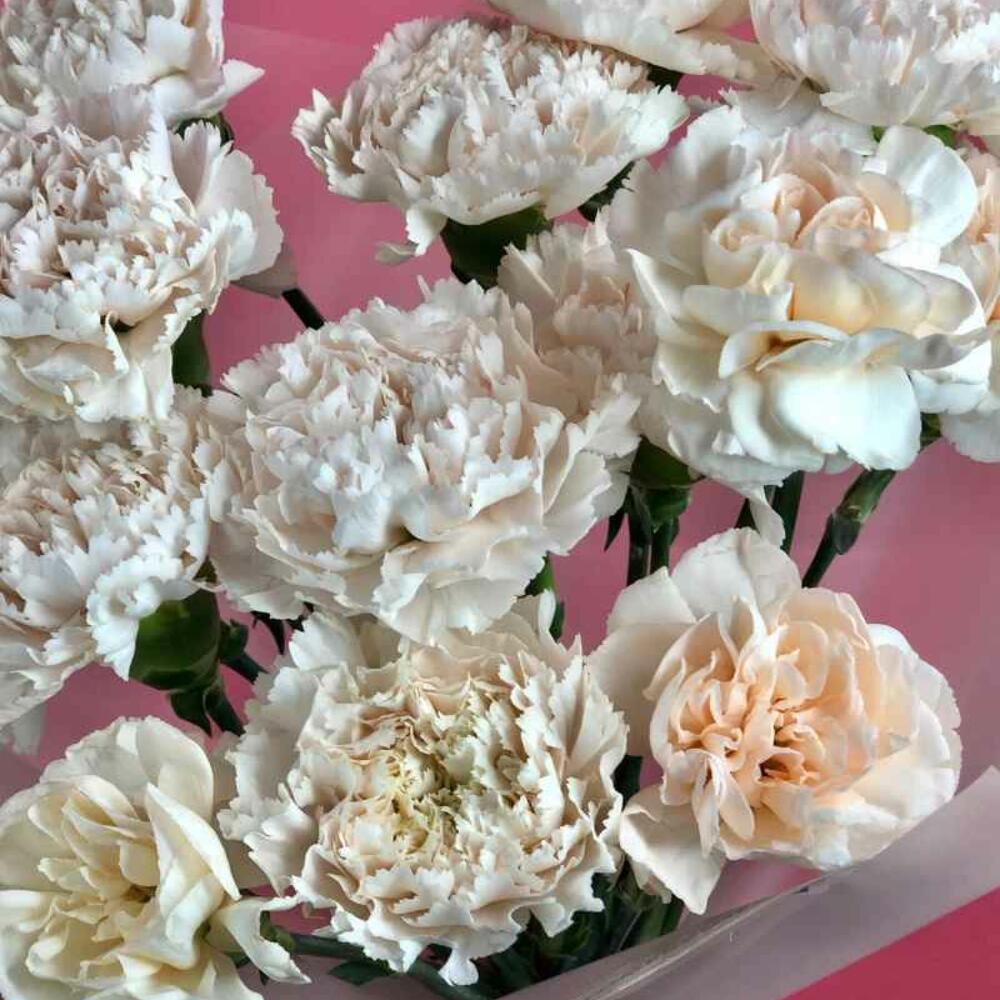 🌹 Букет от Flowersgift из гвоздик - 42