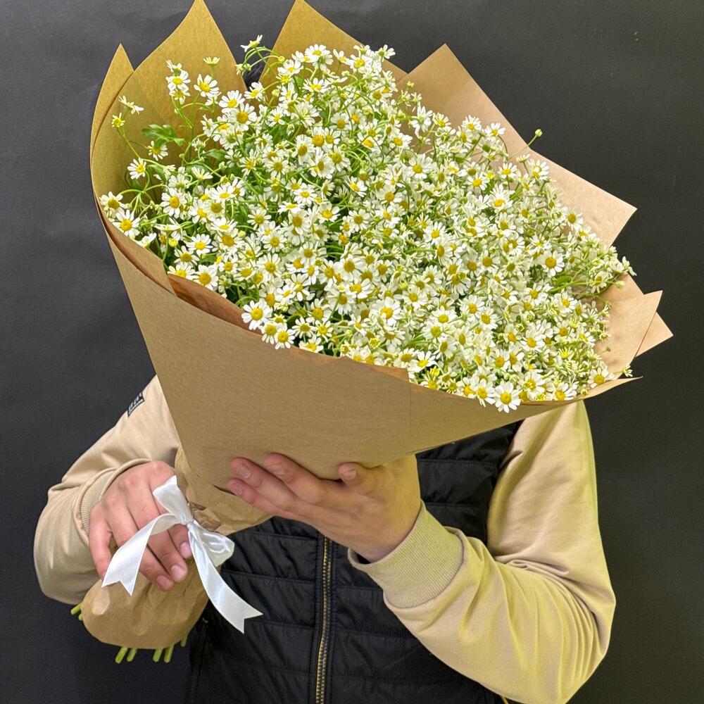 Букет из 25 ромашки