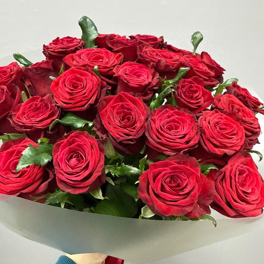 Бордовая сибирская роза 🌹 Любовь