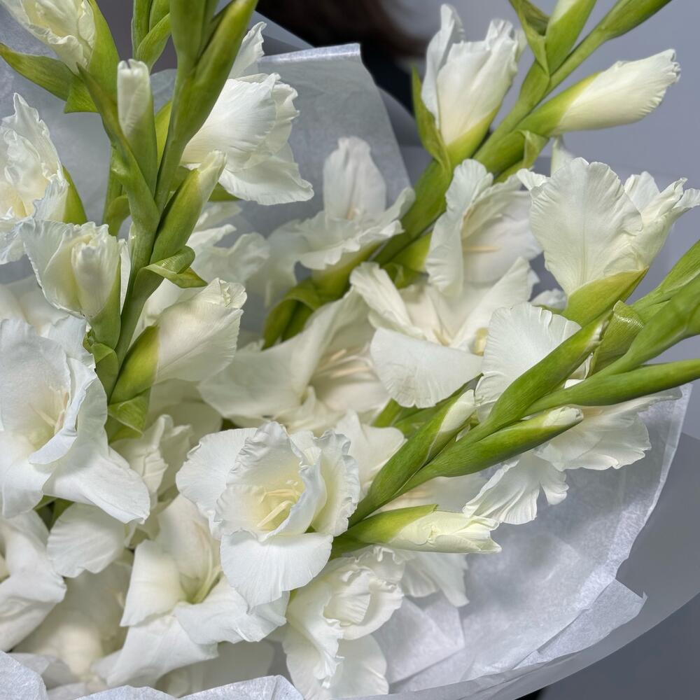 Mono bouquet 175 из 5 гладиолусов к 1 сентября