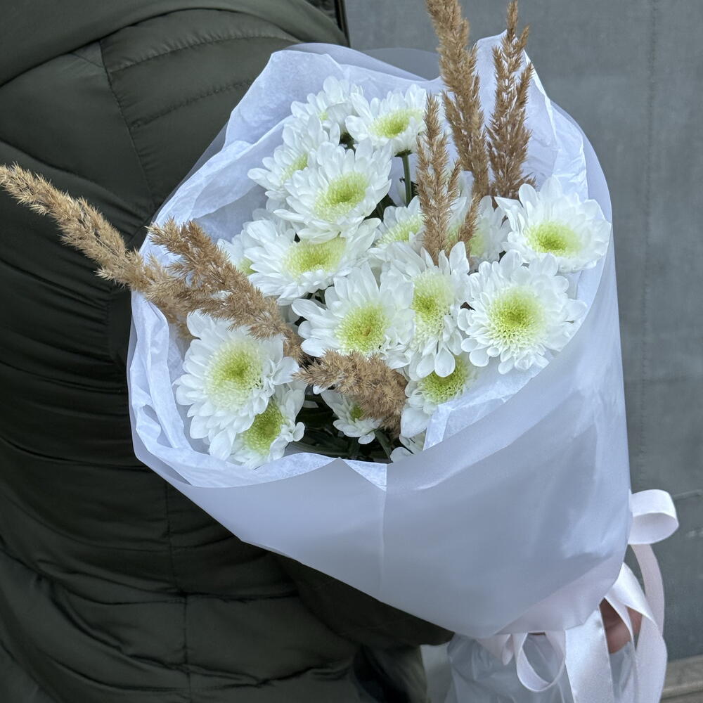 Комплимент
