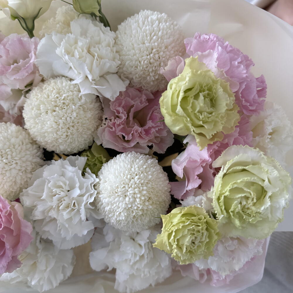 Mix momoko/eustoma/dianthus