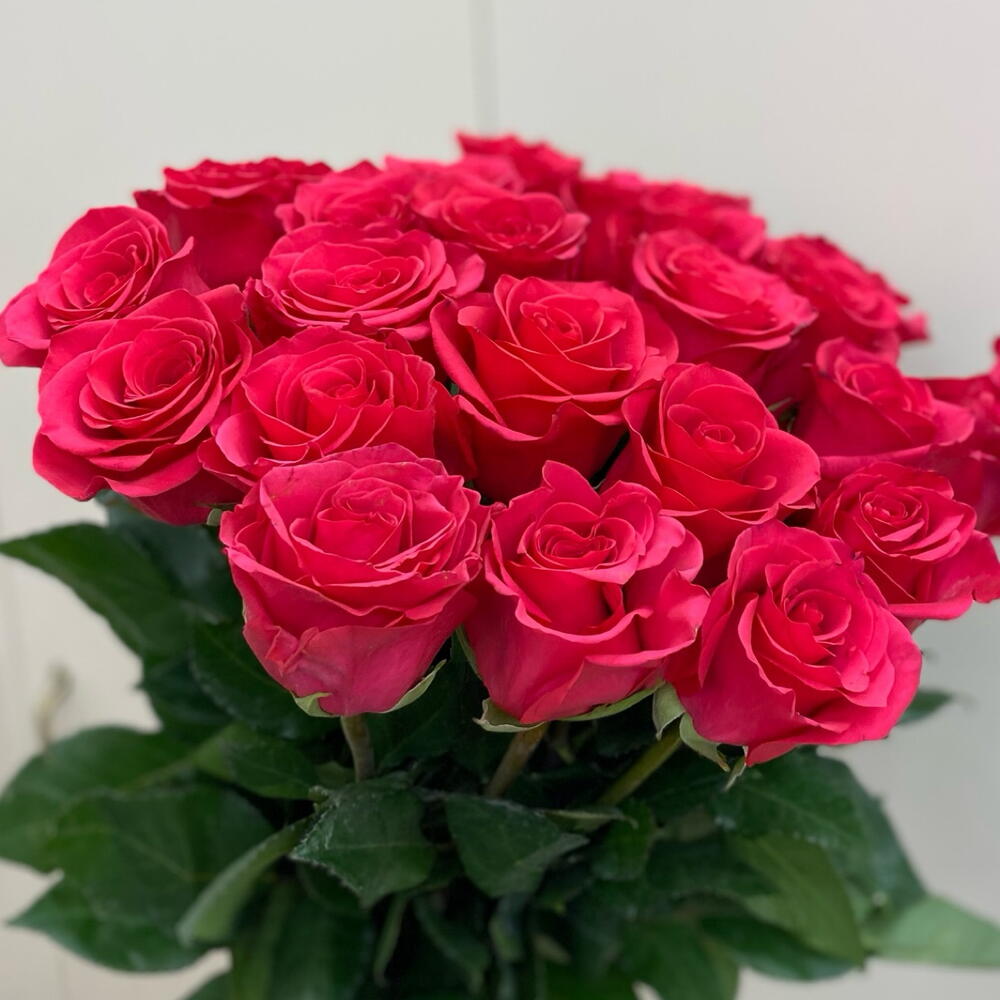 25 малиновых роз