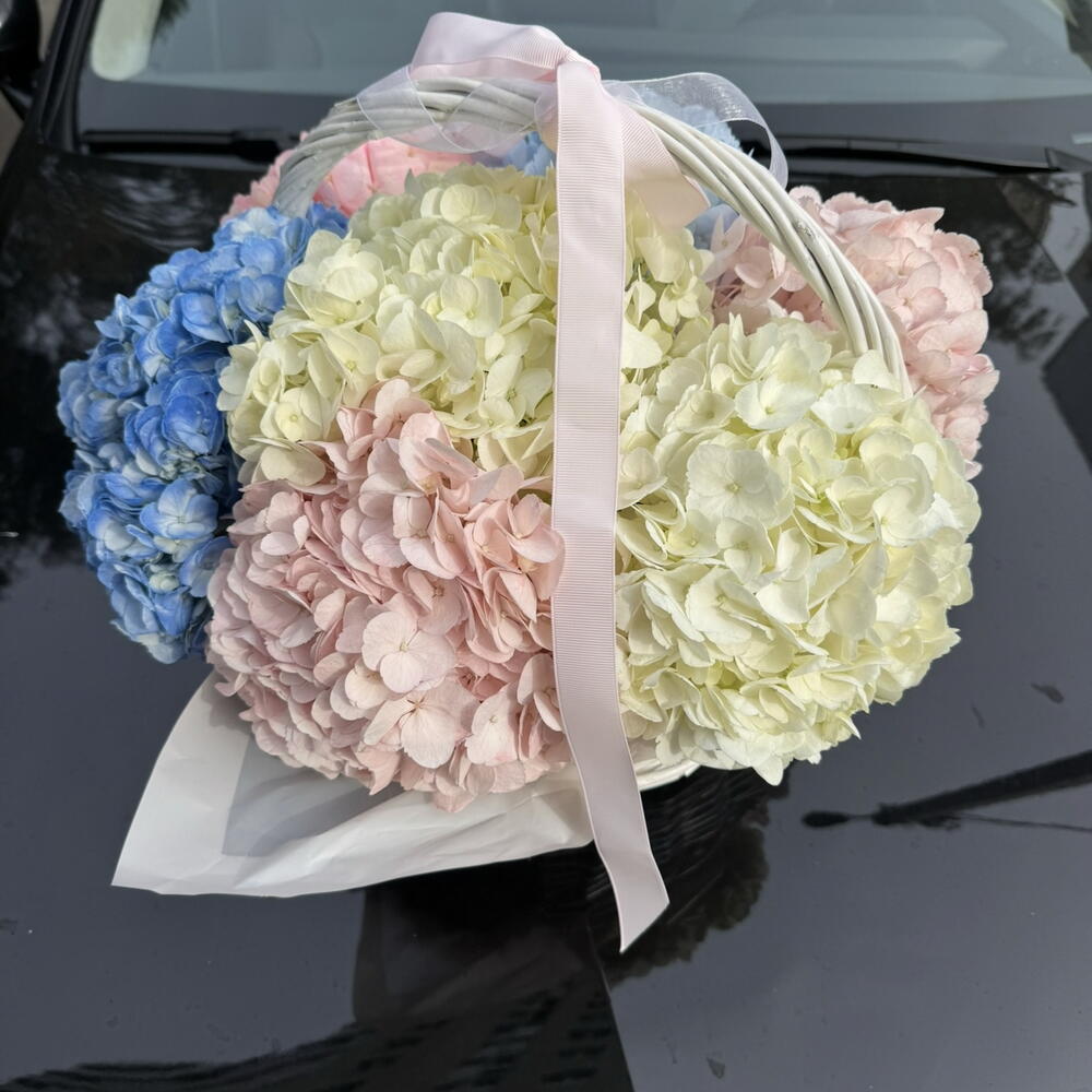 Basket with hydrangea M