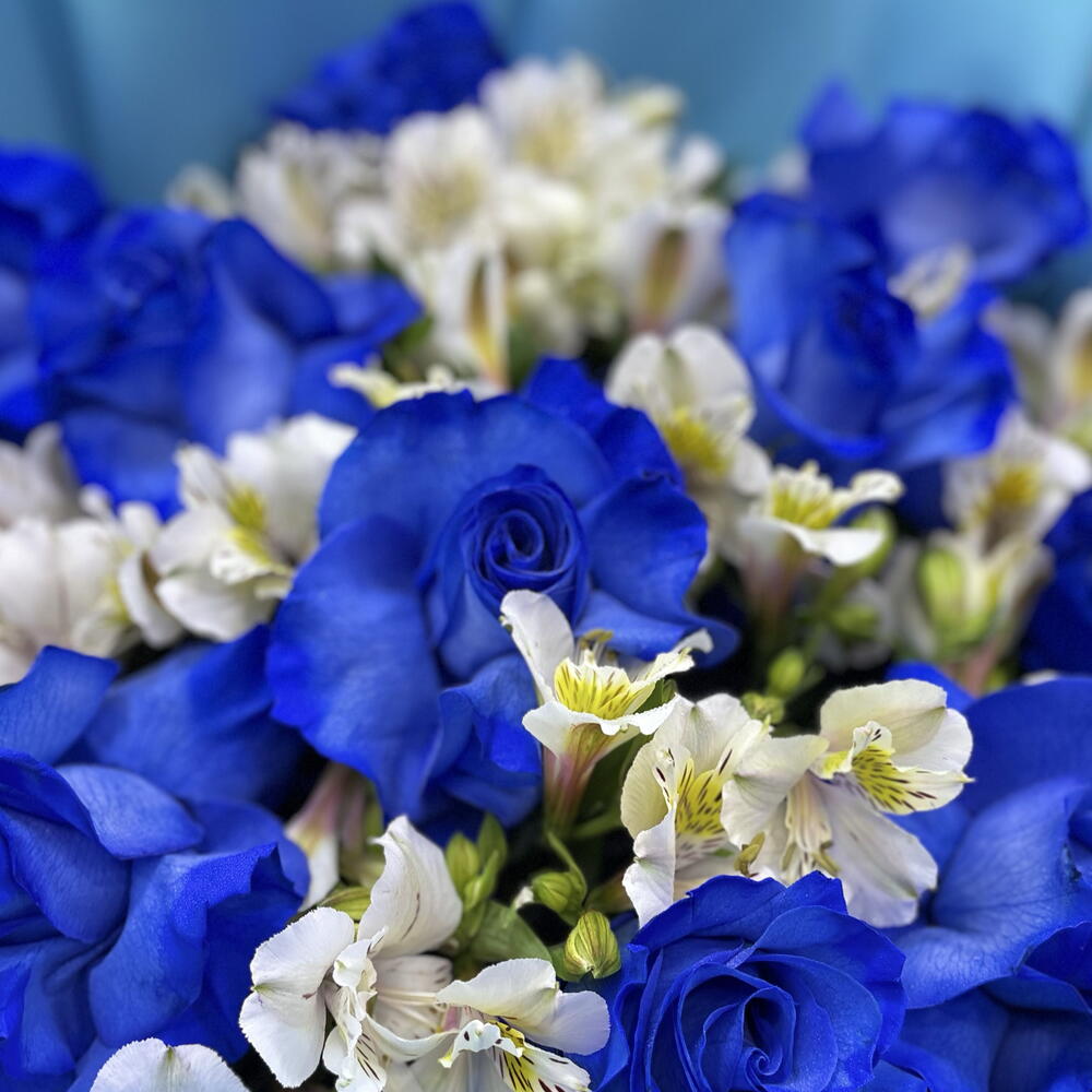 Blue 605