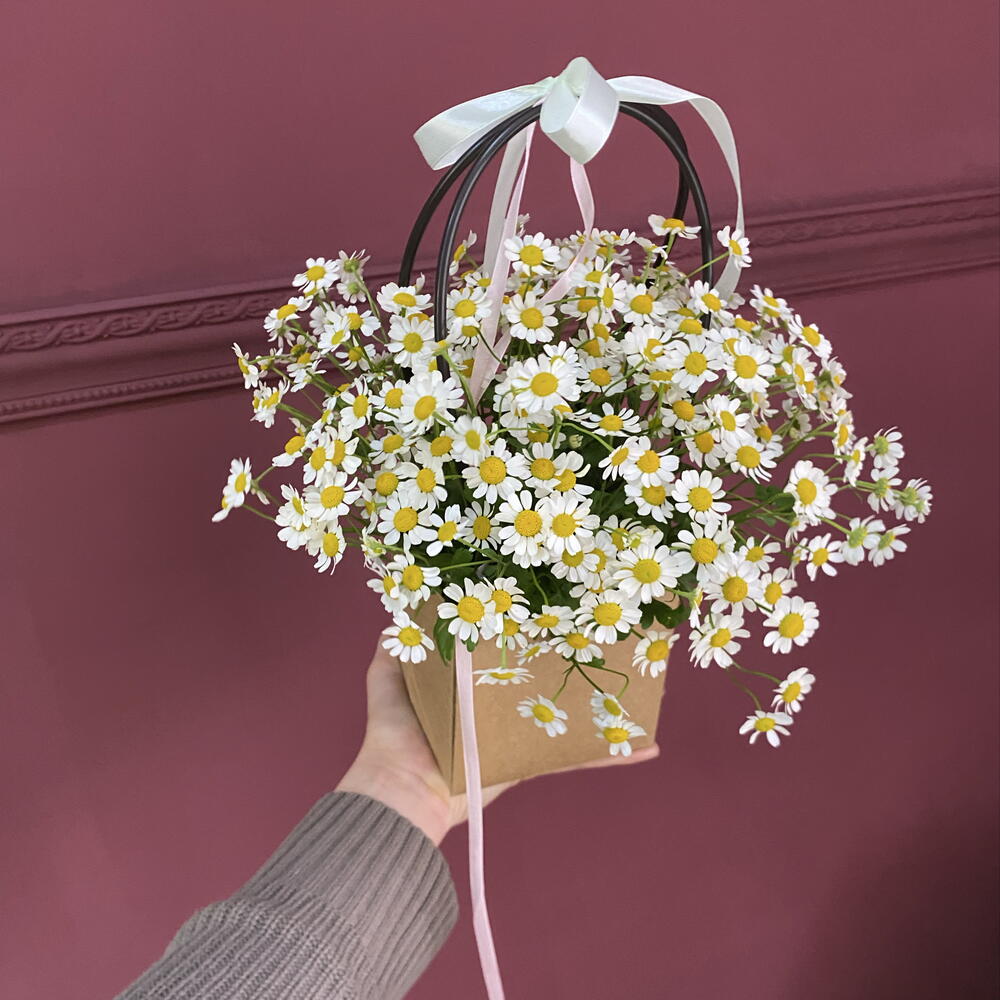 Летняя дофаминовая сумочка «ромашка»