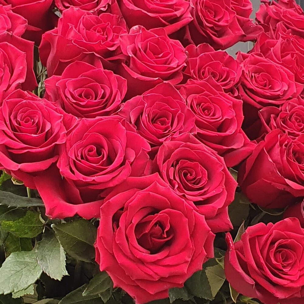 51 роза 80см WOW💥 Red Flowers