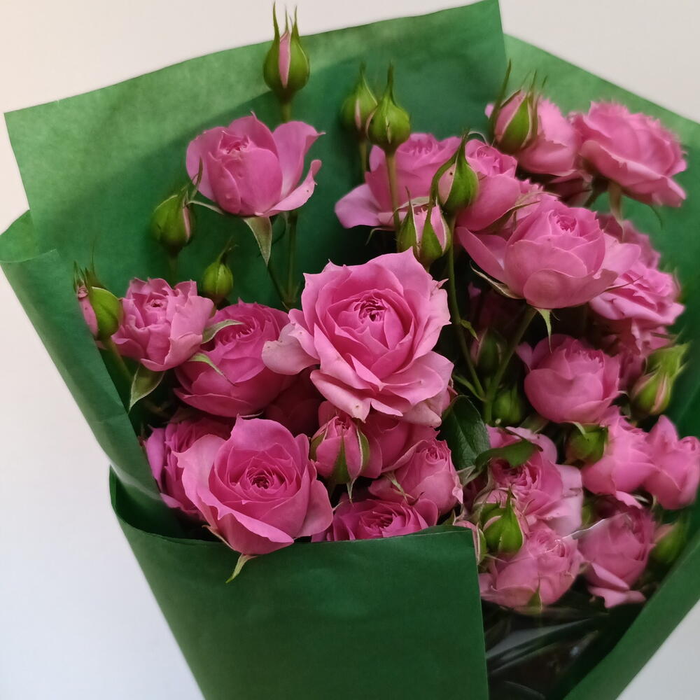 Букет кустовых роз Pink Demensions