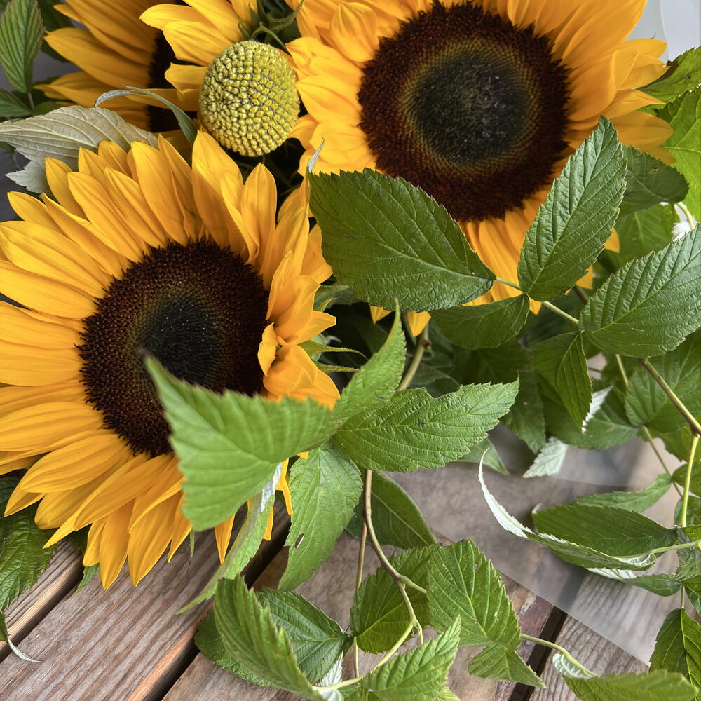 Букет солнечных подсолнухов 🌻