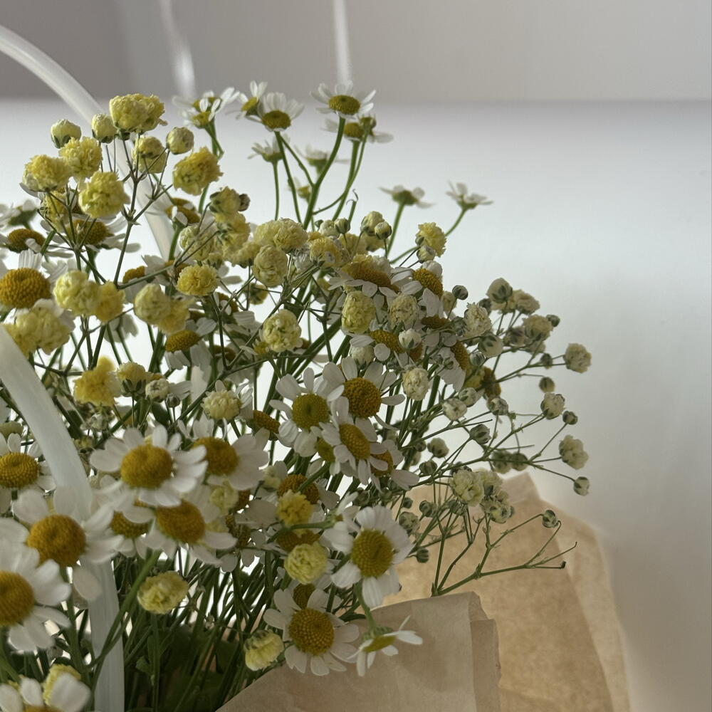 Сумка с ромашками 🌼