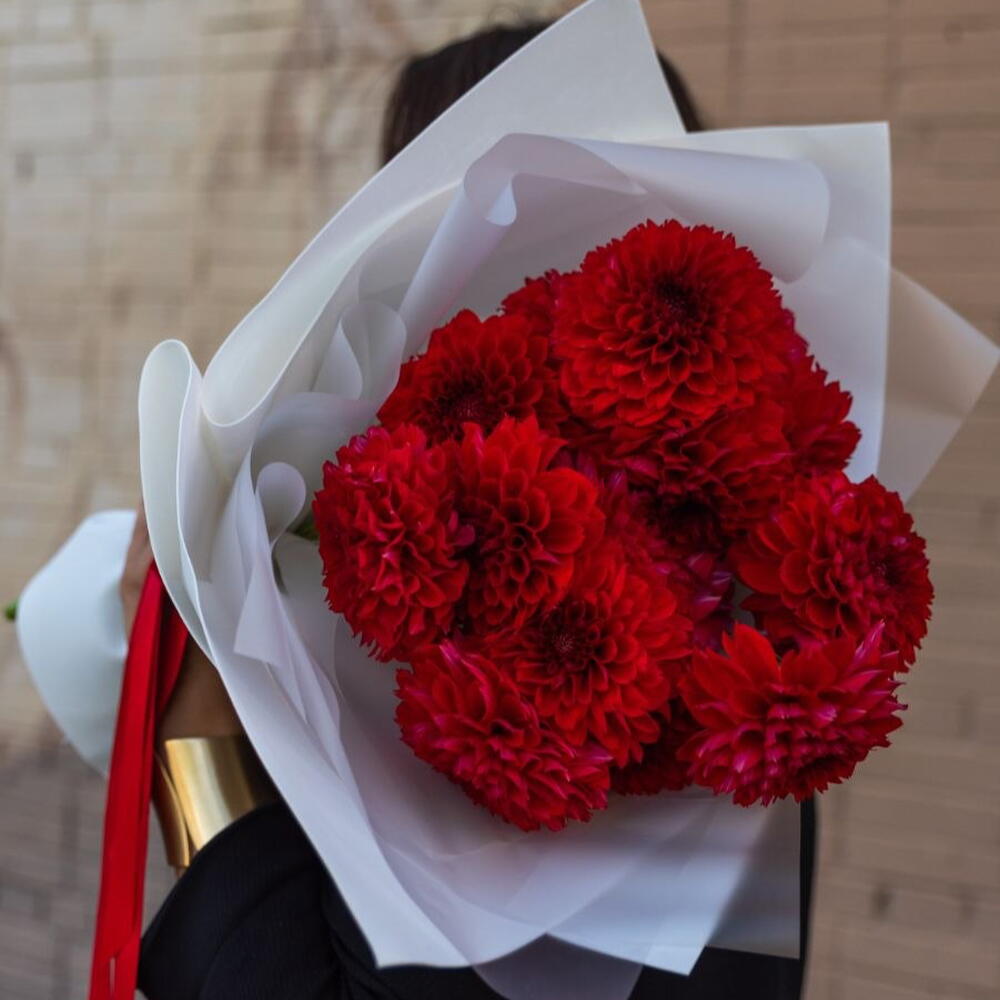 Георгины красные 15шт