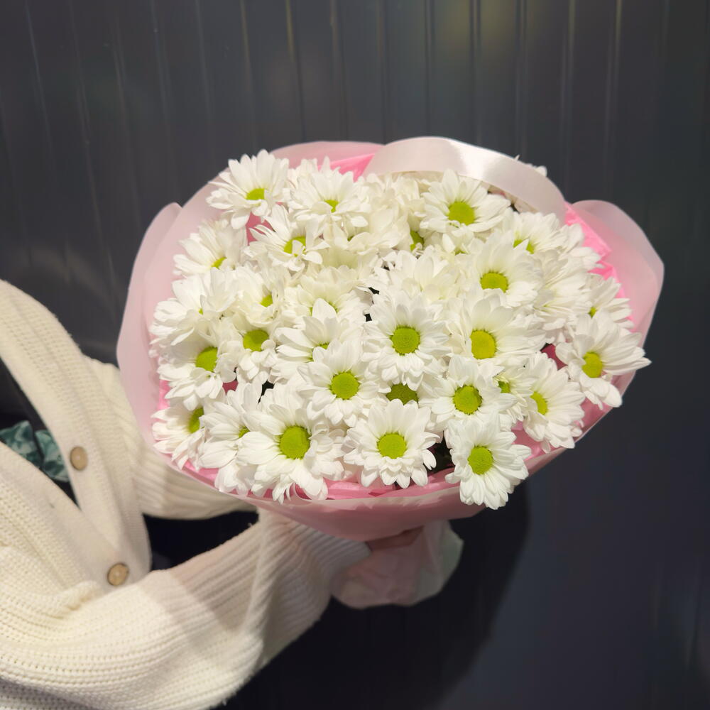 Монобукет 🤍 ромашковидной хризантемы Солнечное поле Монобукет Daisy