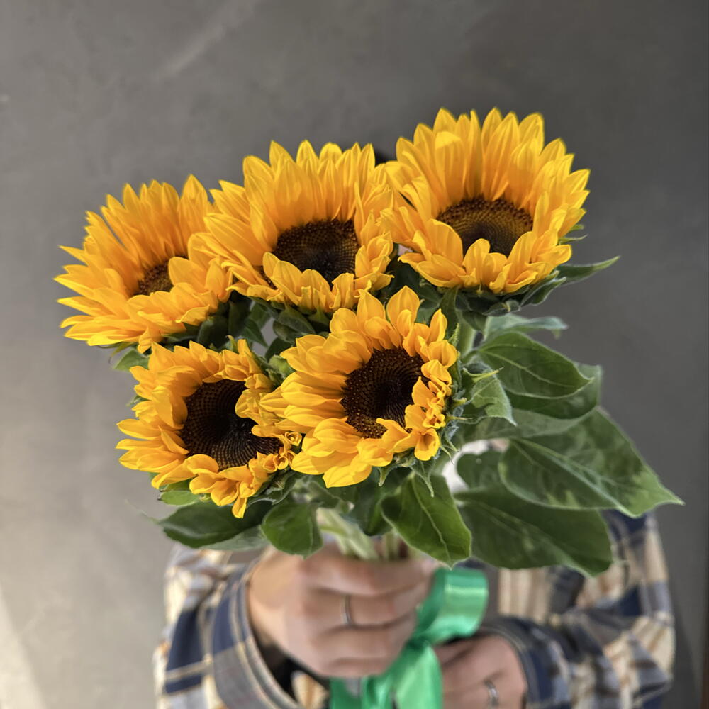 Подсолнухи мини декоративные 🌻
