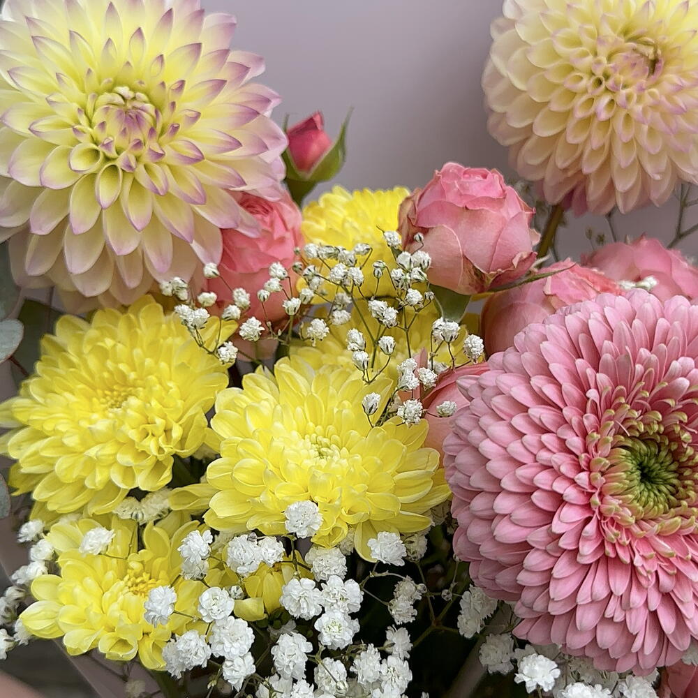 Bouquet 229