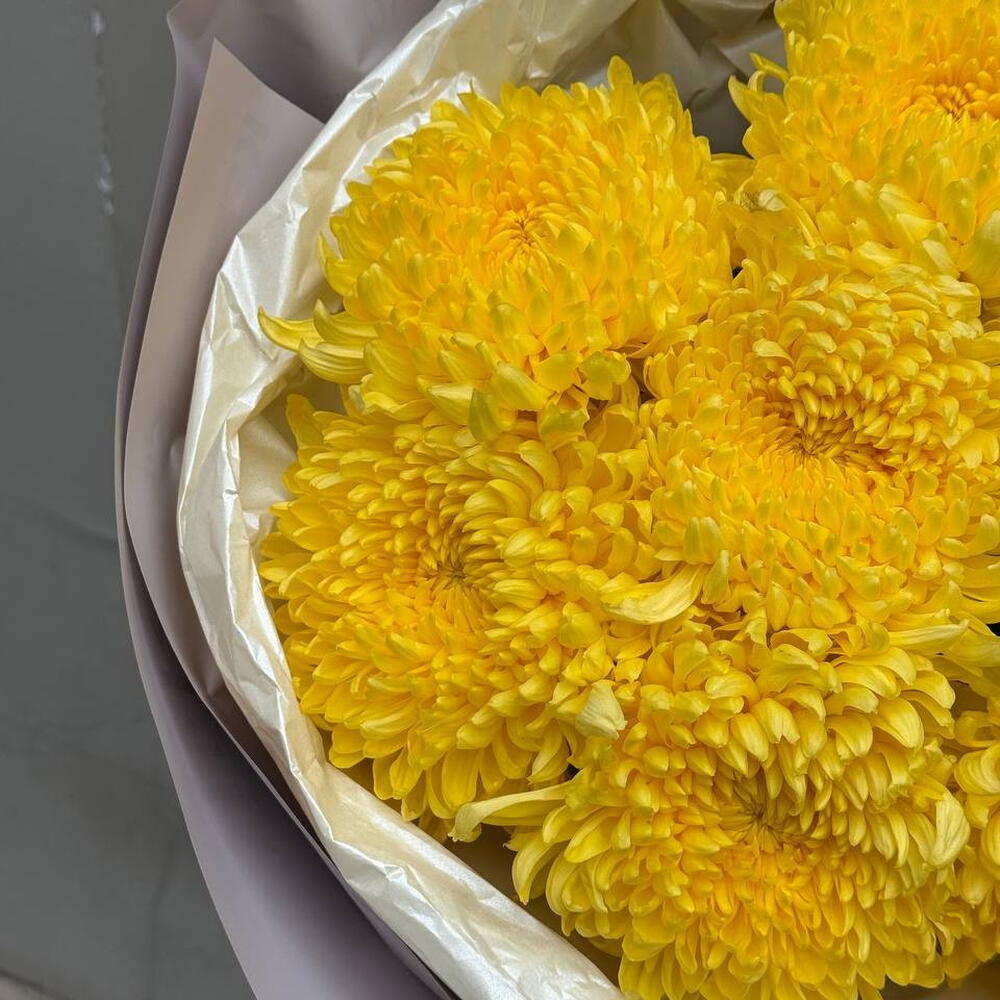 Yellow chrysanthemums bigudi