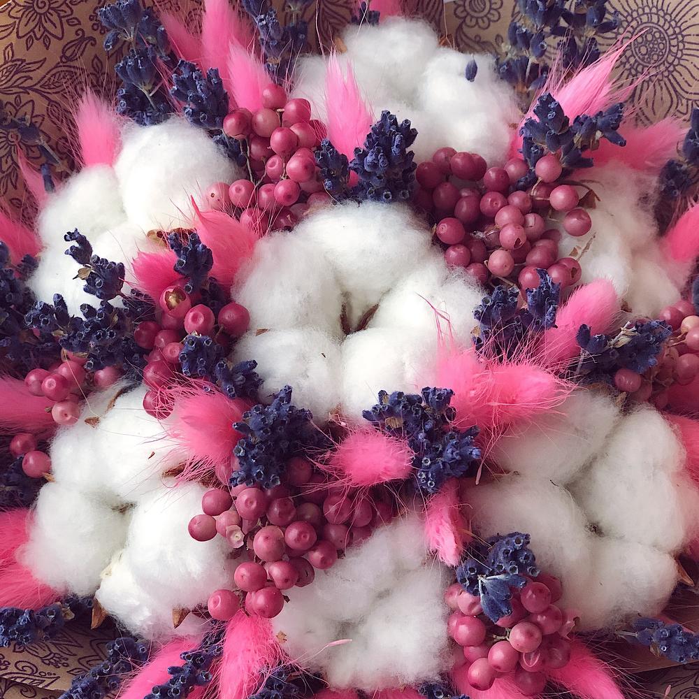 Cotton 3