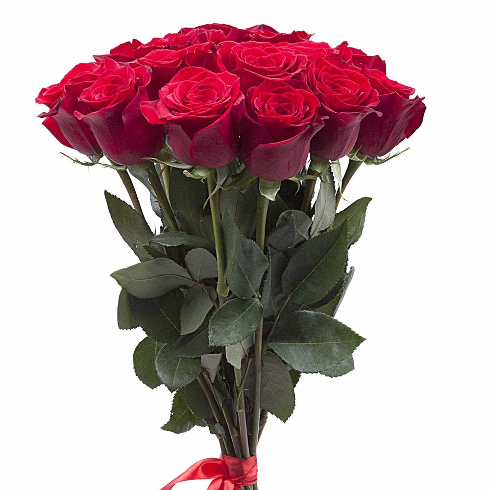 Бархат🌺