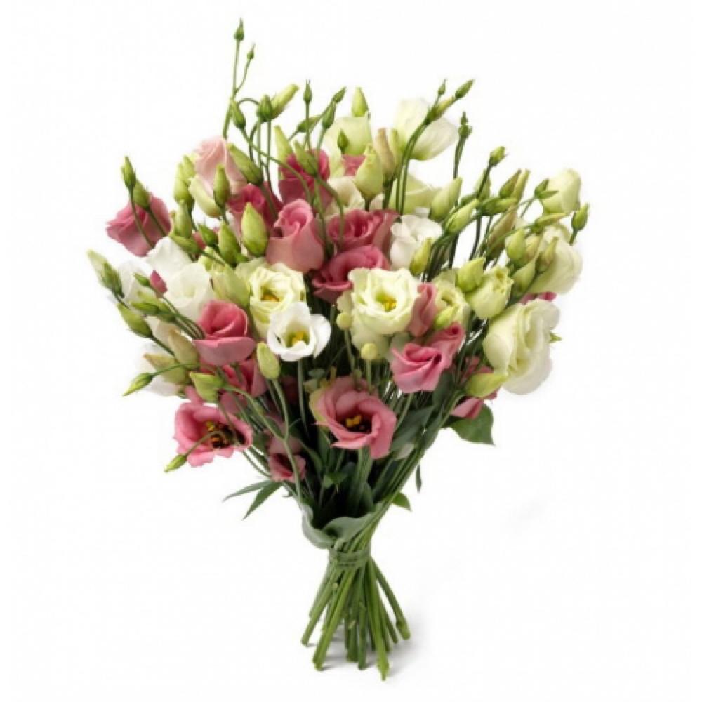 Эустома белая. Эустома лизиантус махровая. Лизиантус микс. Дуо букеты. Лизиантусы сколько стоят.