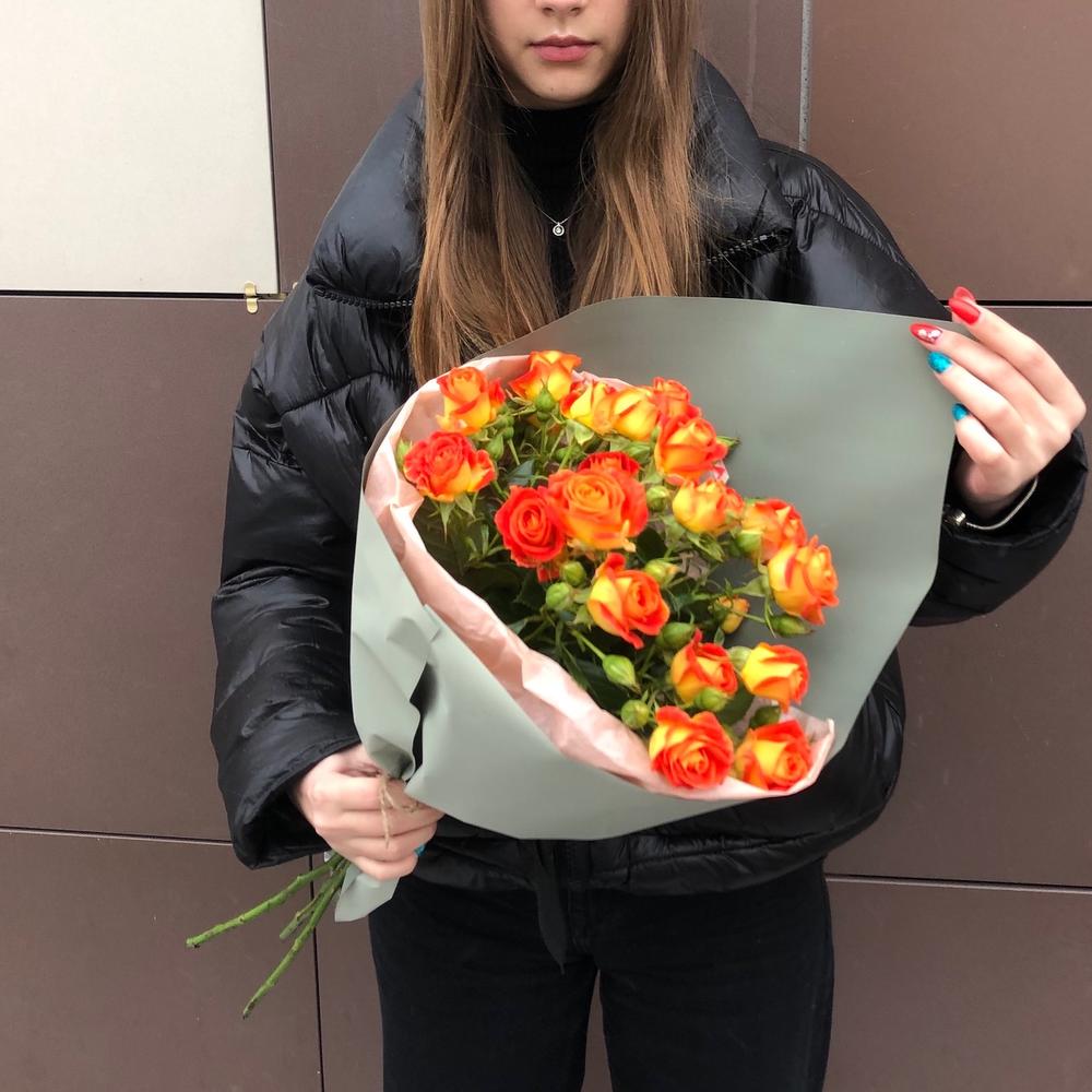 Солнечные блики