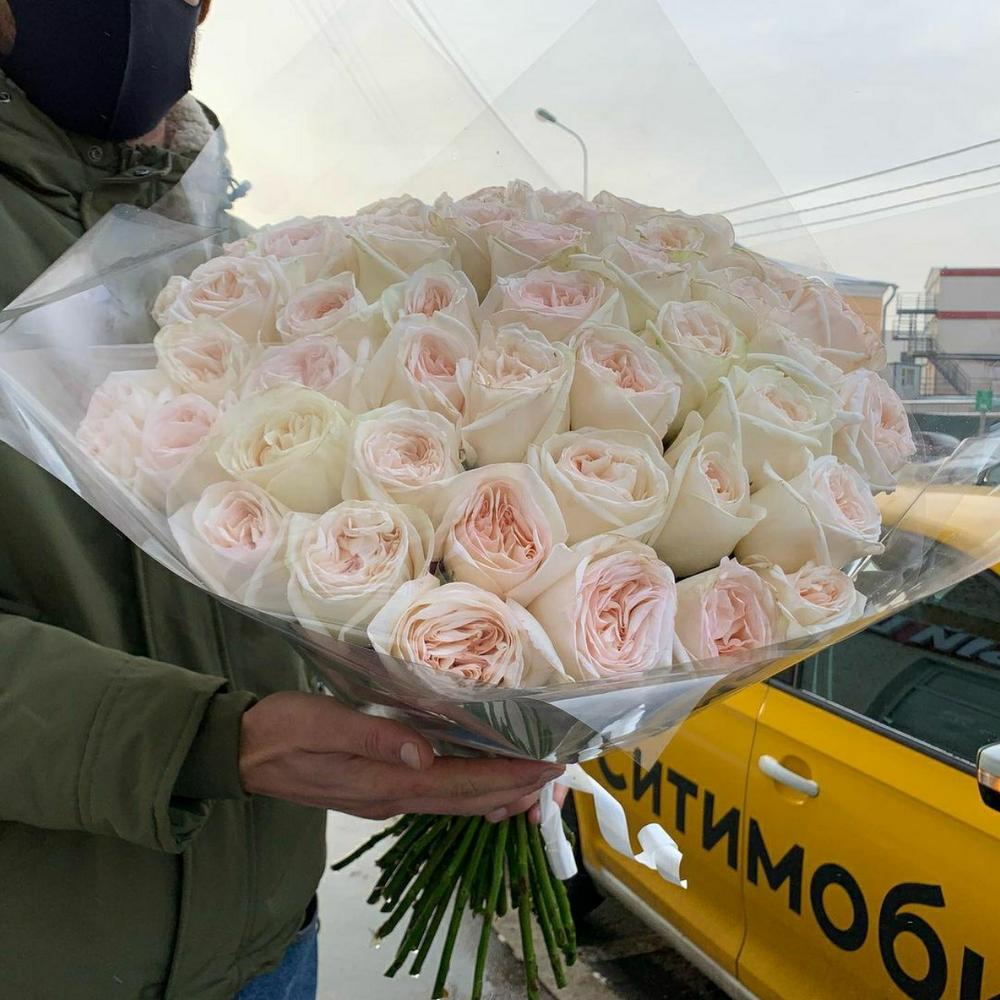 Вайт Охара